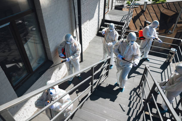 Best Mold Remediation for Healthcare Facilities  in Butte, MT