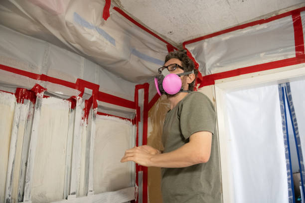 Best Emergency Mold Remediation  in Butte, MT